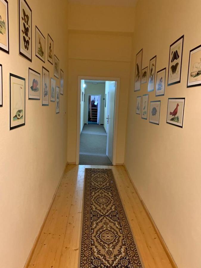 Zamek Jindrichovice Hotel Kolinec Kültér fotó